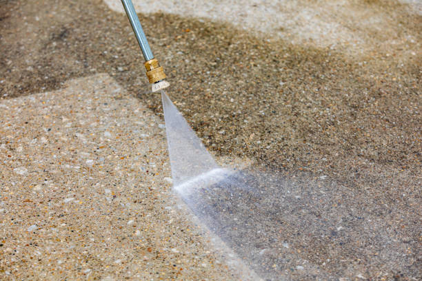 Animal Enclosure Cleaning in Buffalo Grove, IL